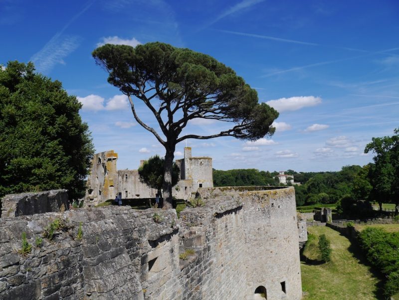 Le château de Clisson