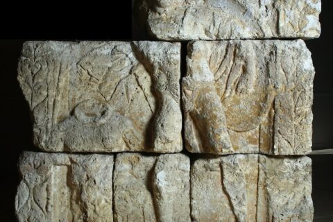 Le Musée Minerve