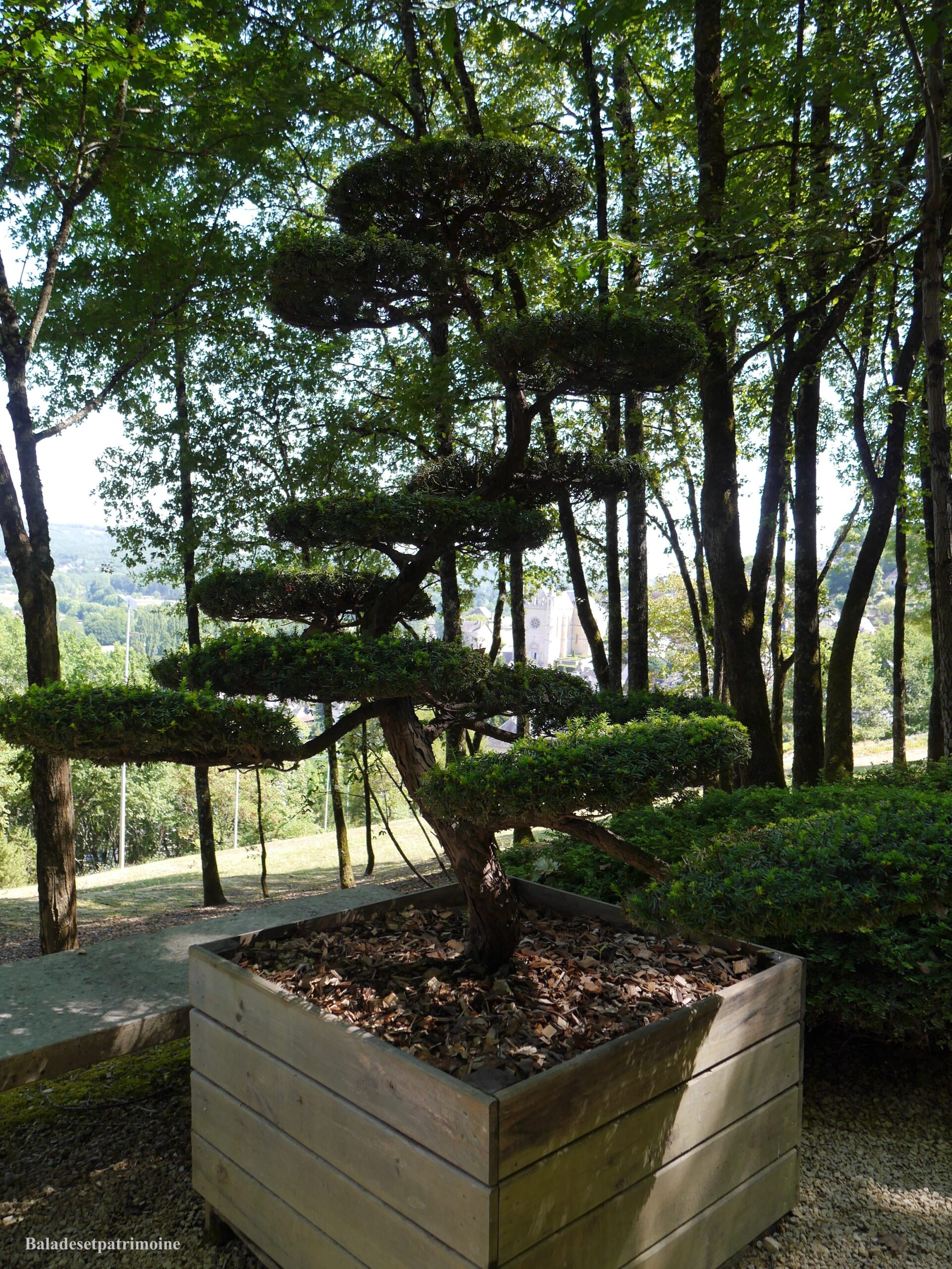Les jardins de l’Imaginaire