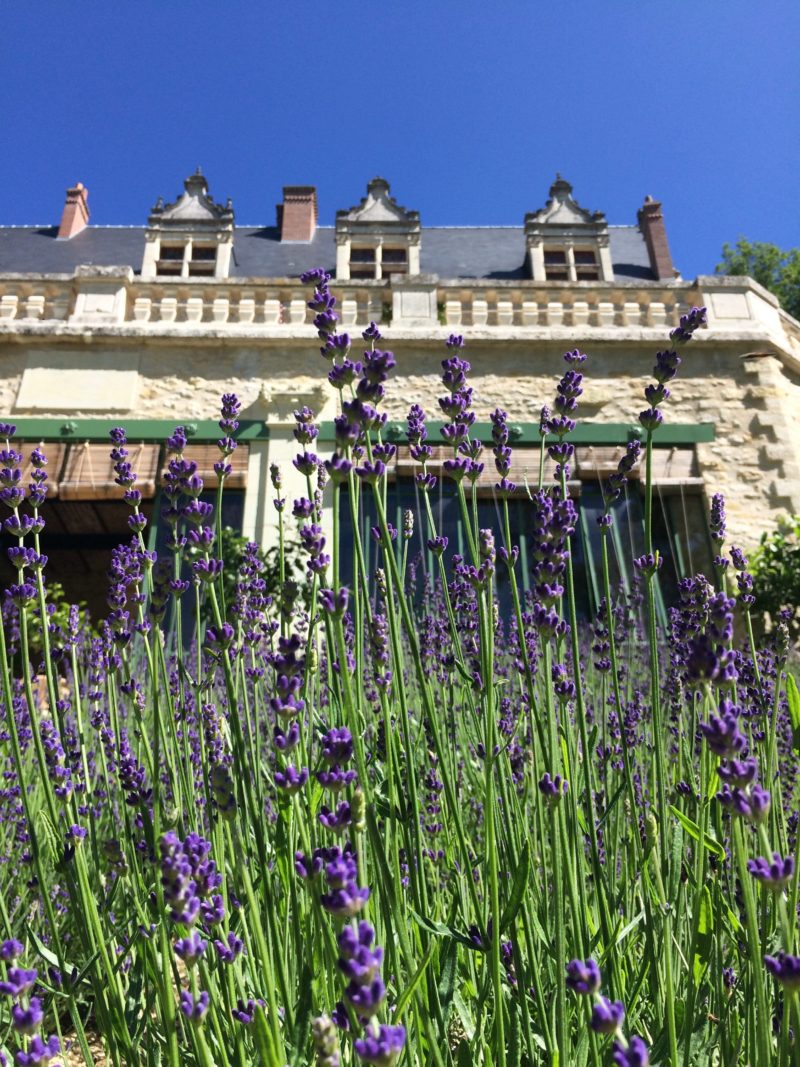 Domaine Royal de Château Gaillard