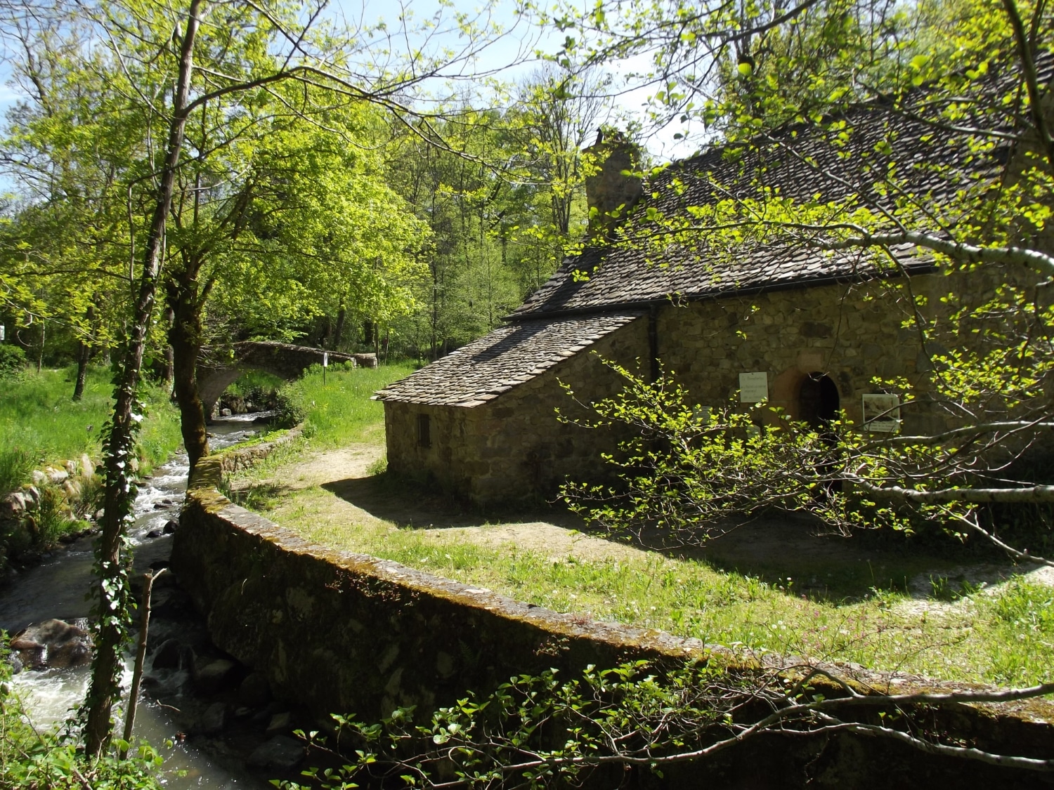 Les martinets du Lezert