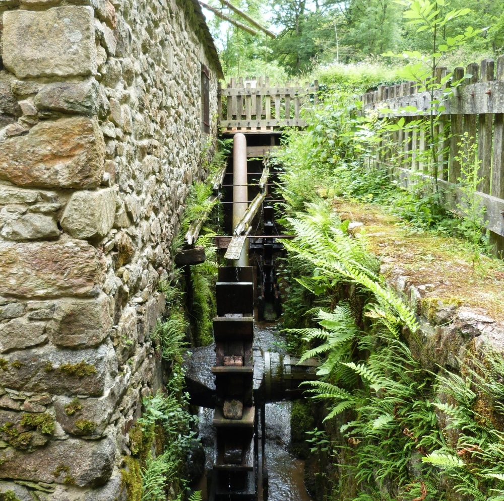 Les martinets du Lezert