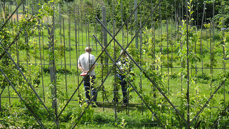 Maison de la biodiversité de Manosque